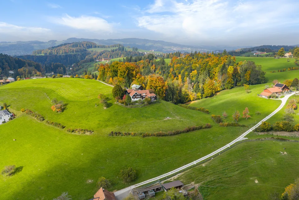 Alpine View