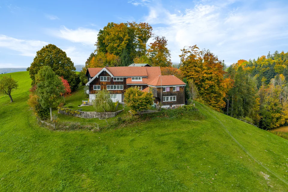 Alpine View