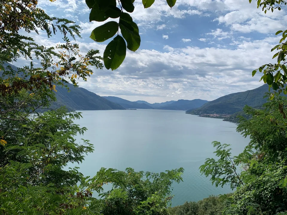 Wiesen- und Waldgrundstück mit einmaliger Sicht in Brissago