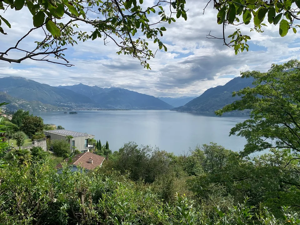 Wiesen- und Waldgrundstück mit einmaliger Sicht in Brissago