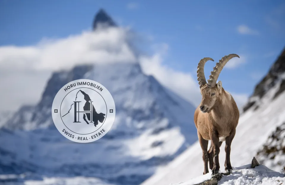 Seltenes und schönes Grundstück auf Furi - Zermatt