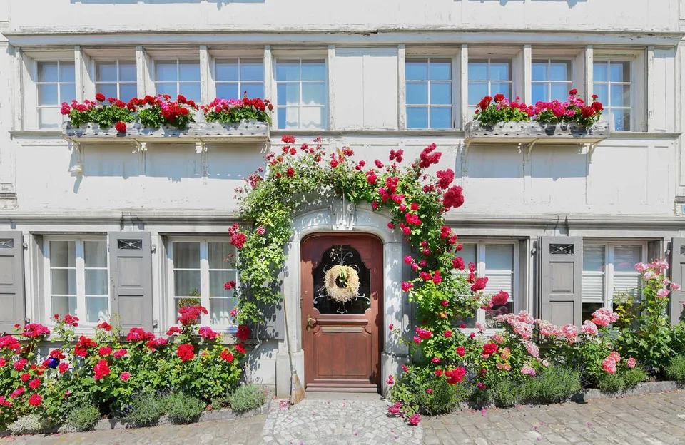 »Edelweiss« historisches Bürgerhaus