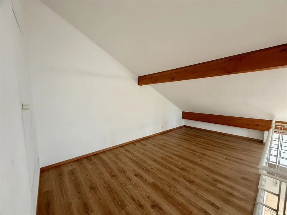 Grande duplex attico di 5 camere – foto 13 di 13