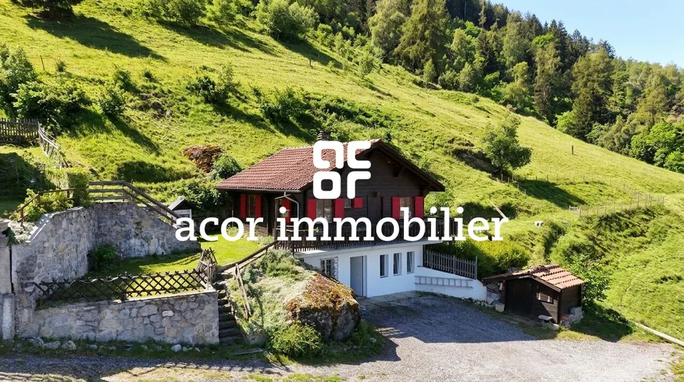 Chalet en pleine nature - Vue imprenable et calme absolu