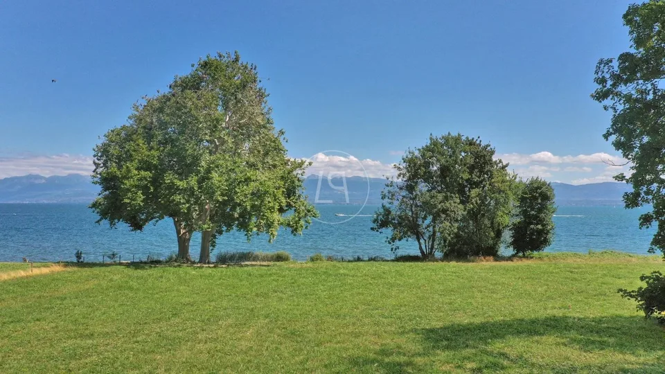 Superbe parcelle de 6 500 m2 pied dans l'eau, Rolle