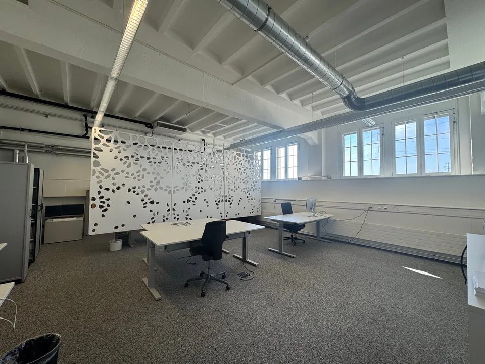 Büroräume mit 250m², Lagerhallen mit 215m2 zuzüglich Aussenflächen und Parkplätze