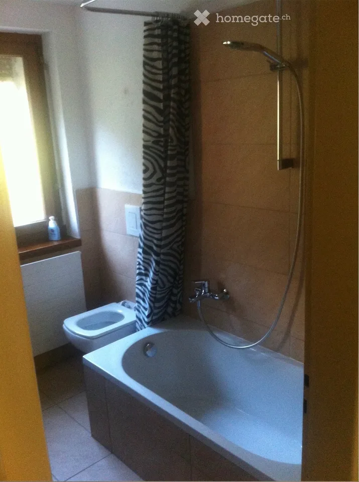 Miete von Apartment in Ambrì