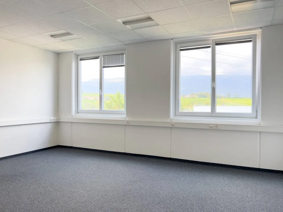 Uffici, locali amministrativi di 373 m2 in affitto a Satigny