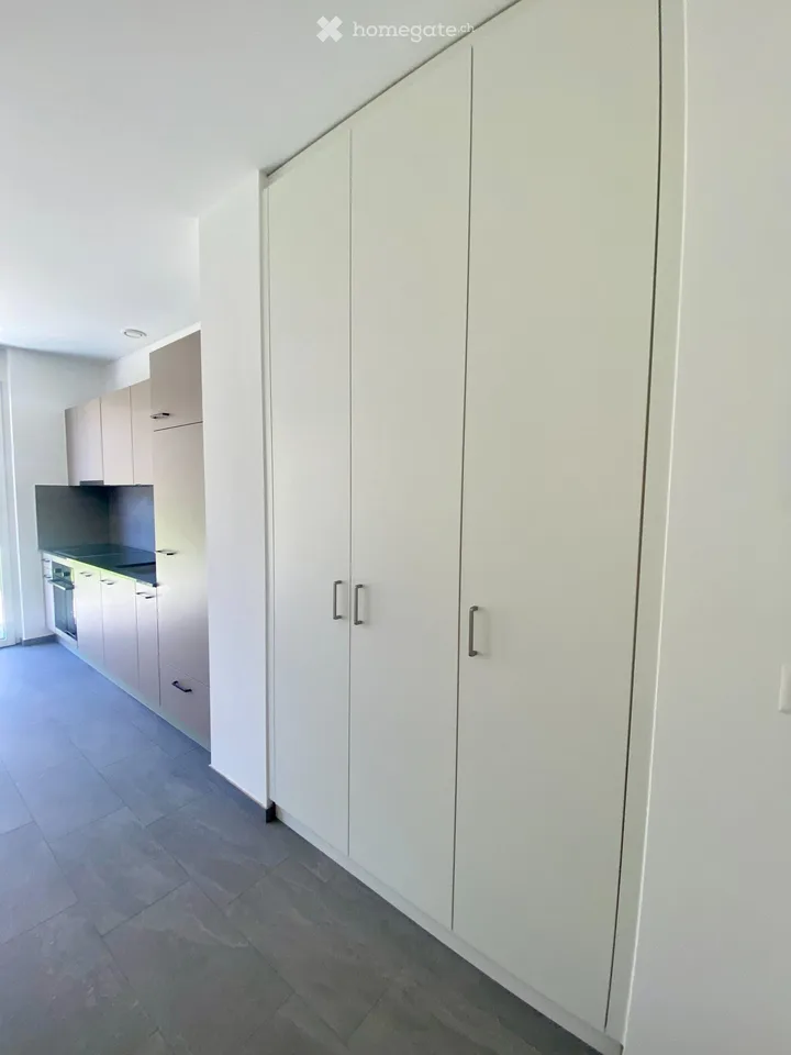 Sion New 33 m² studio with private lawn