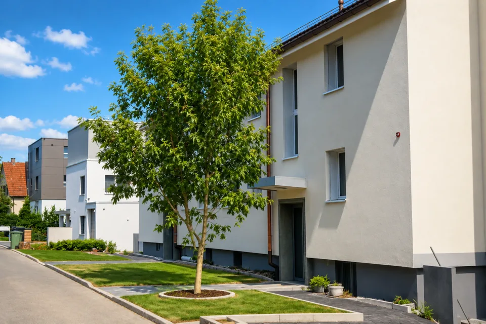 Frisch renovierte Dachwohnung nach umfassender Liegenschaftssanierung