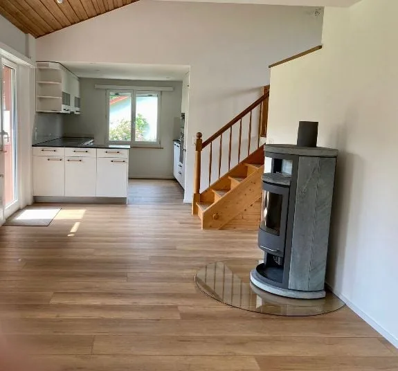 Doppeleinfamilienhaus in Richterswil