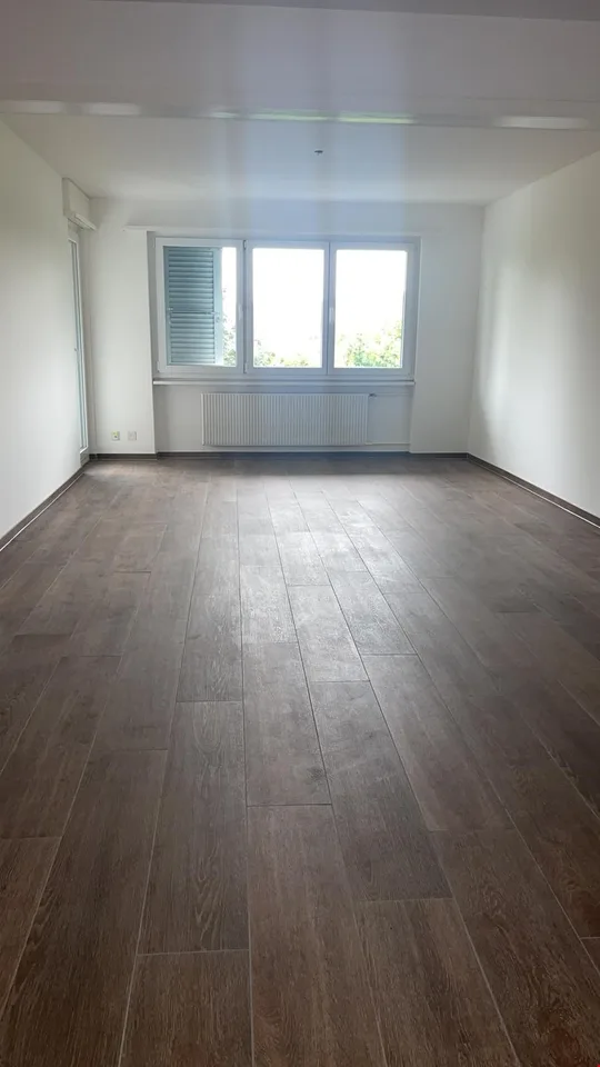 Grosse Wohnung/grand appartement