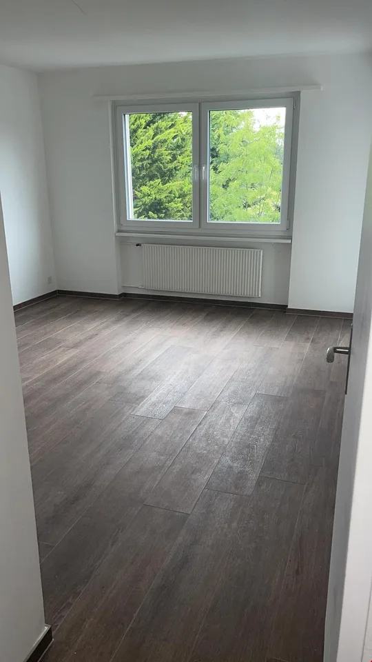 Grosse Wohnung/grand appartement