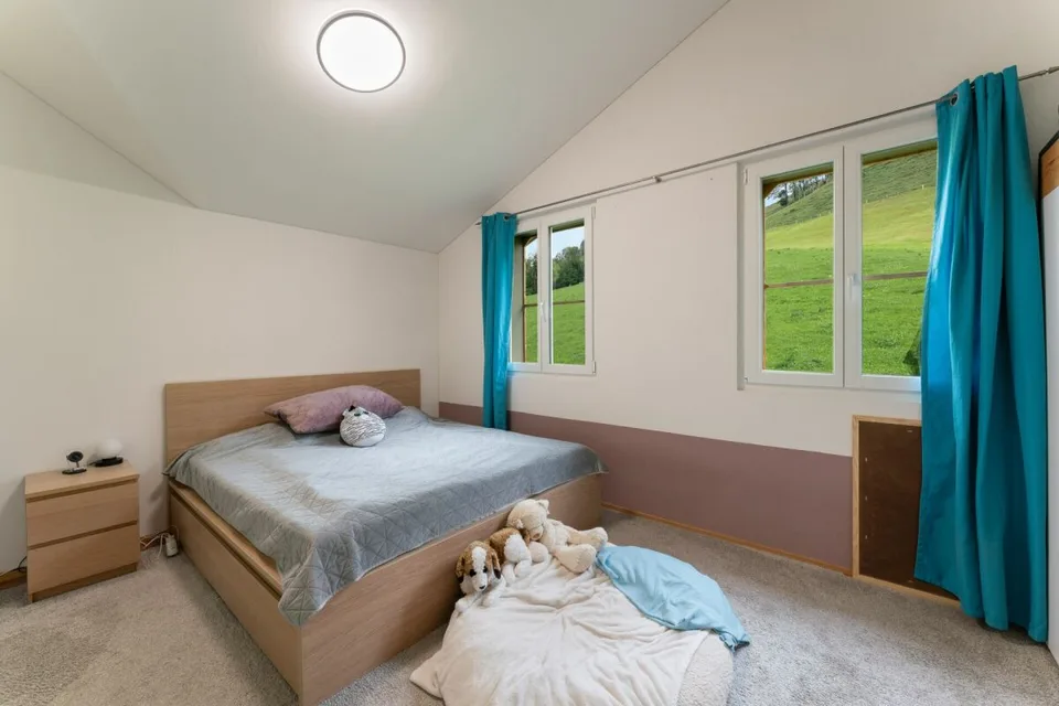 Renovated attic apartment - modern construction standard and living comfort