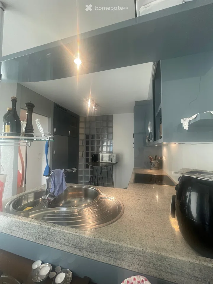 Incantevole appartamento di 3.5 locali con quota di giardino e veranda vicino al lago – Steckborn