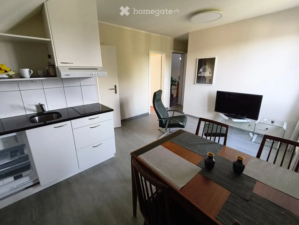 Appartement de 2 pces lumineux et meublé au 2ème étage