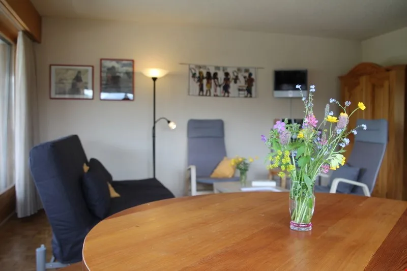 Appartement lumineux au centre de Vercorin - location touristique – photo 6 sur 14