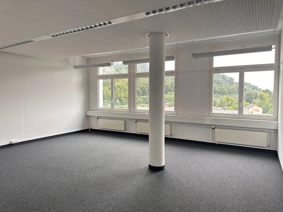 Grandi e piccoli uffici moderni sulla Schlachthofstrasse a Winterthur