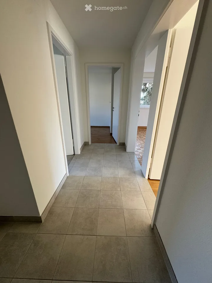 Charmante 3-Zimmer-Wohnung in ruhiger Lage in Münchenstein