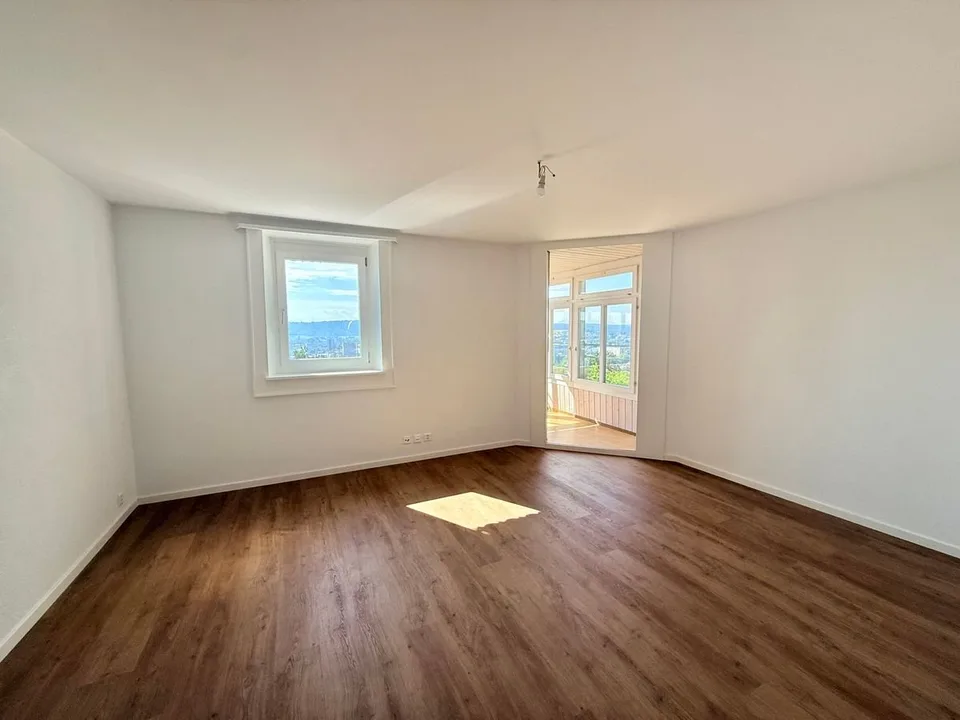 Magnifique appartement 2.5 pièces entièrement rénové - cadre moderne avec vue dégagée