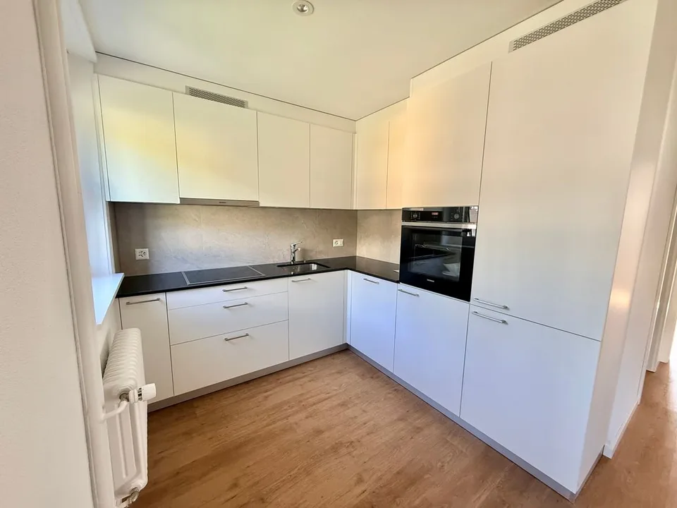 Magnifique appartement 2.5 pièces entièrement rénové - cadre moderne avec vue dégagée