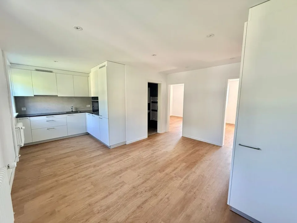 Magnifique appartement 2.5 pièces entièrement rénové - cadre moderne avec vue dégagée