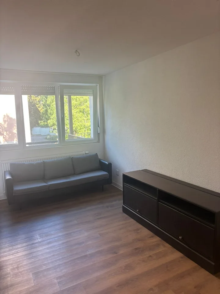 Affascinante appartamento arredato di 2 locali con balcone