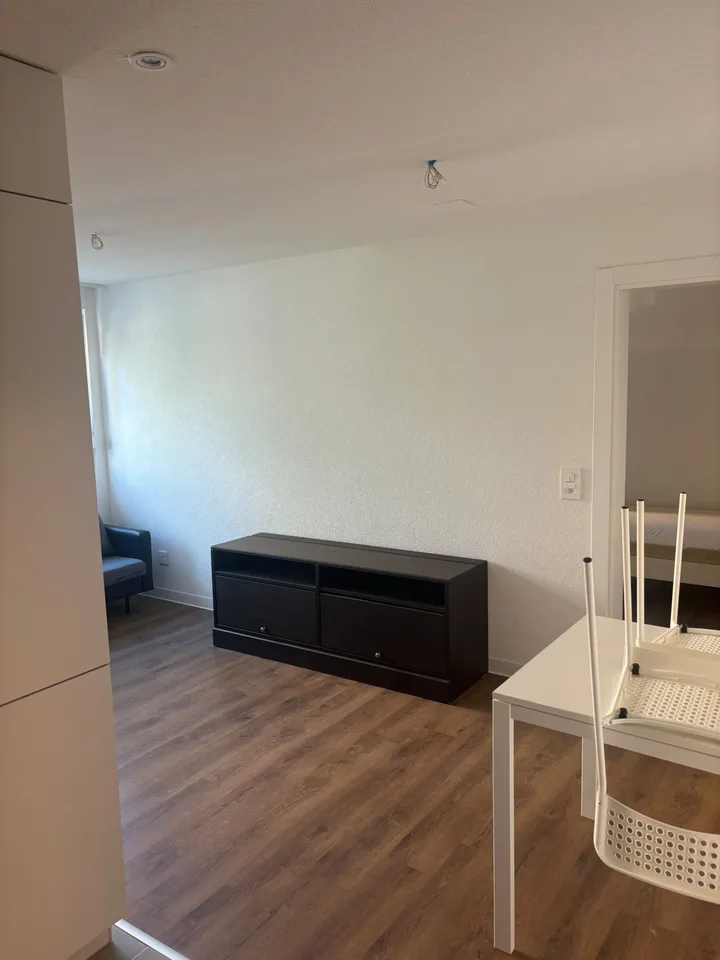 Affascinante appartamento arredato di 2 locali con balcone