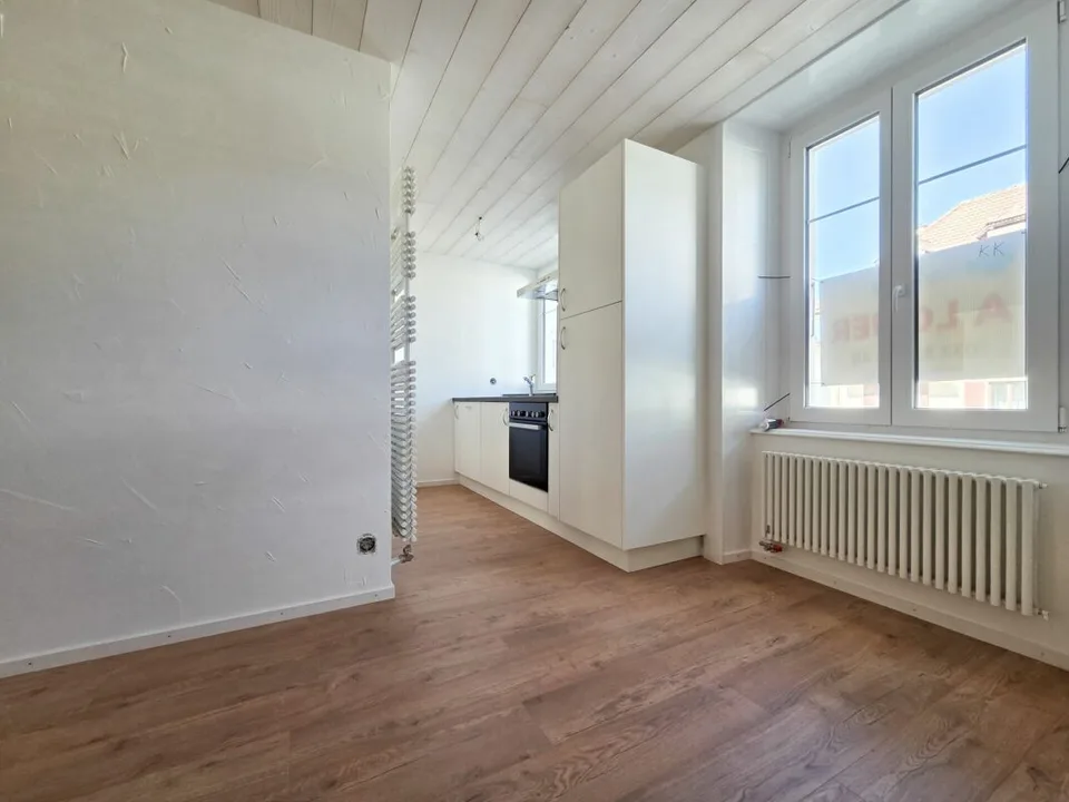 Wohnung mit 2.5 Zimmern komplett renoviert!