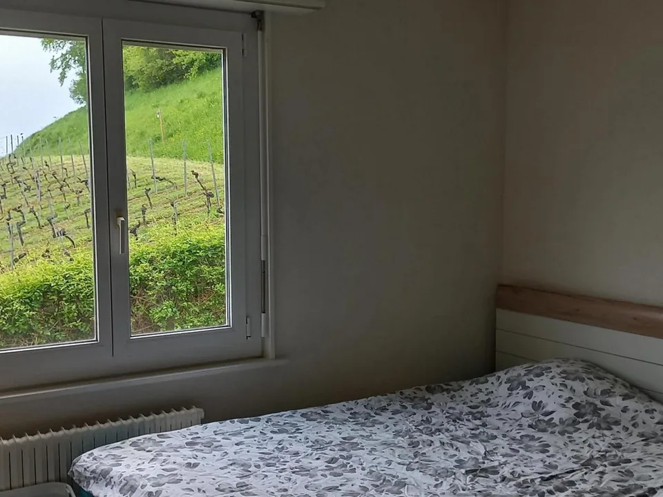 JOLI 3 PIECES RENOVE SITUE AU 1er ETAGE ASCENSEUR PROCHE DU LAC