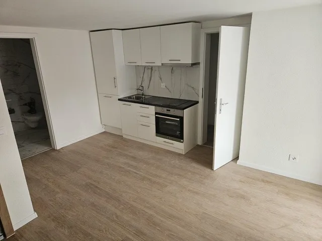 Gemütliches Studio in Fehraltdorf - renoviert und perfekt für Singles oder Paare!