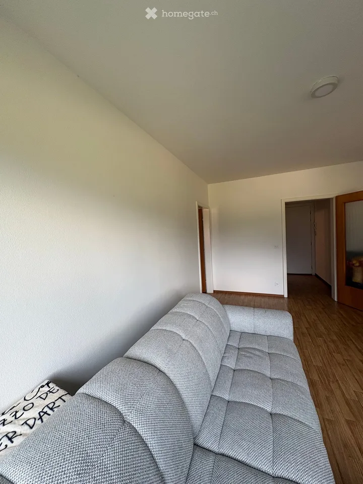 Recherche d'un sous-locataire pour un appartement 2.5 pièces à Tenero