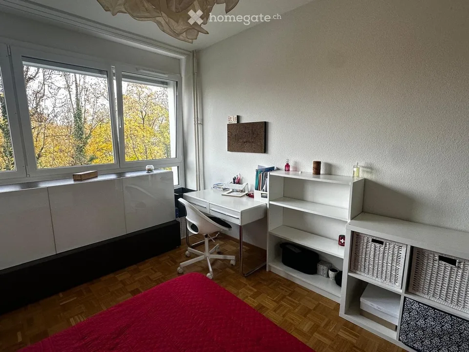 Short term - Beautiful room - Peaceful apartment - Thonex