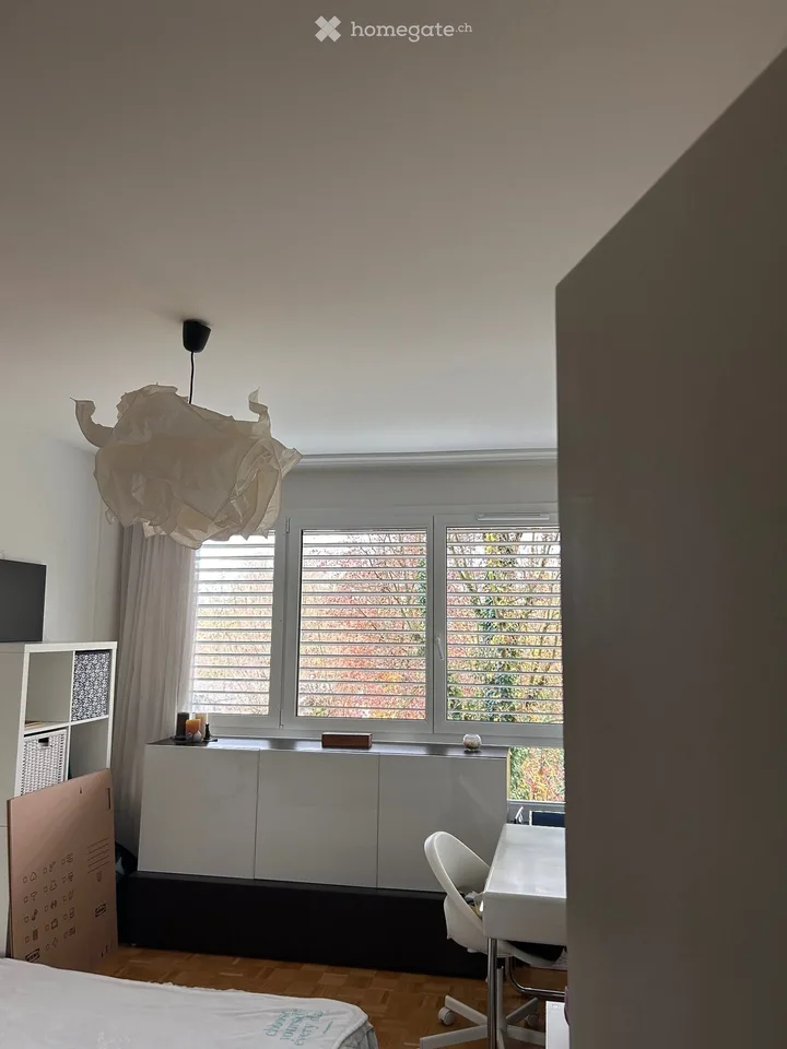 Short term - Beautiful room - Peaceful apartment - Thonex