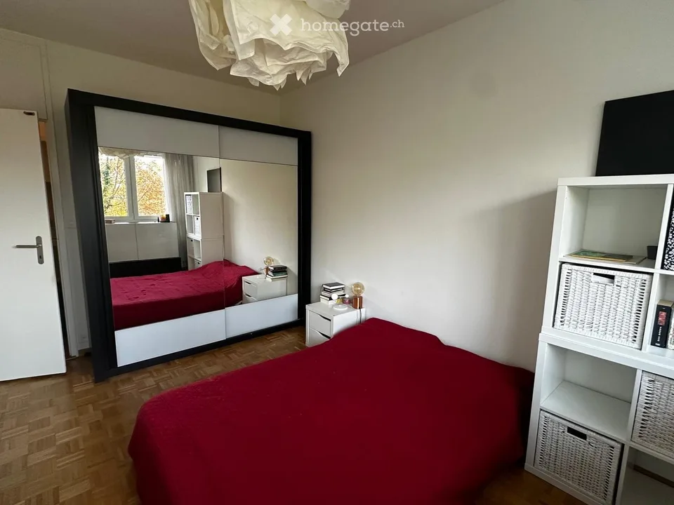 Short term - Beautiful room - Peaceful apartment - Thonex
