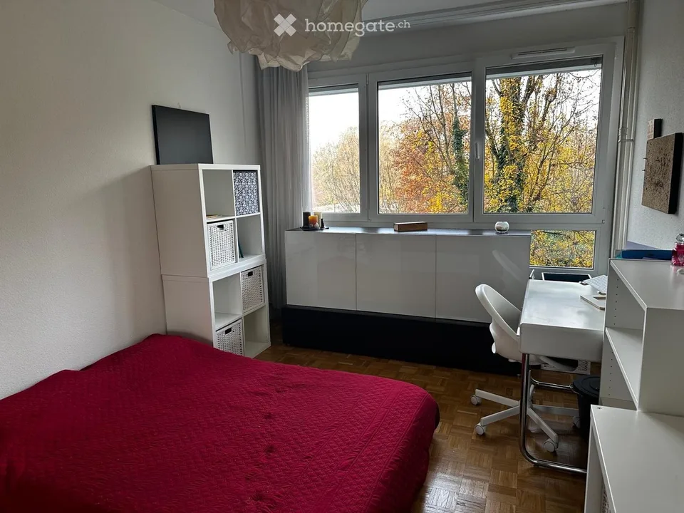 Short term - Beautiful room - Peaceful apartment - Thonex