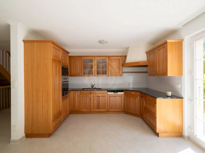 Chaleureuse villa - Collonge-Bellerive