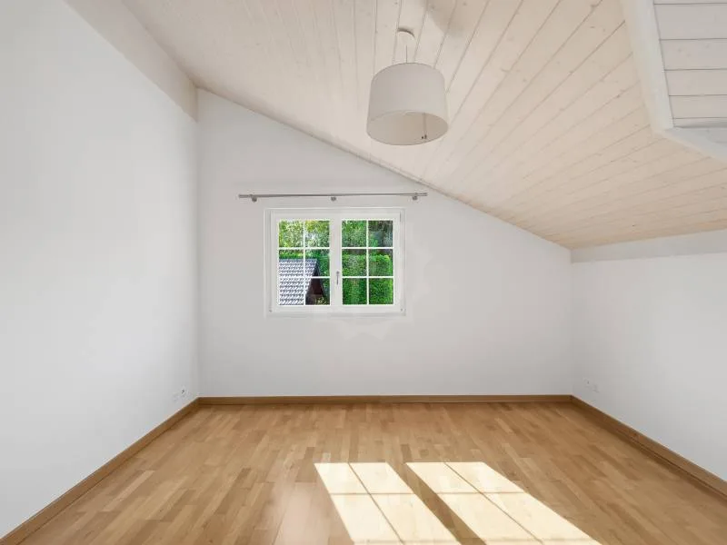 Cozy villa - Collonge-Bellerive