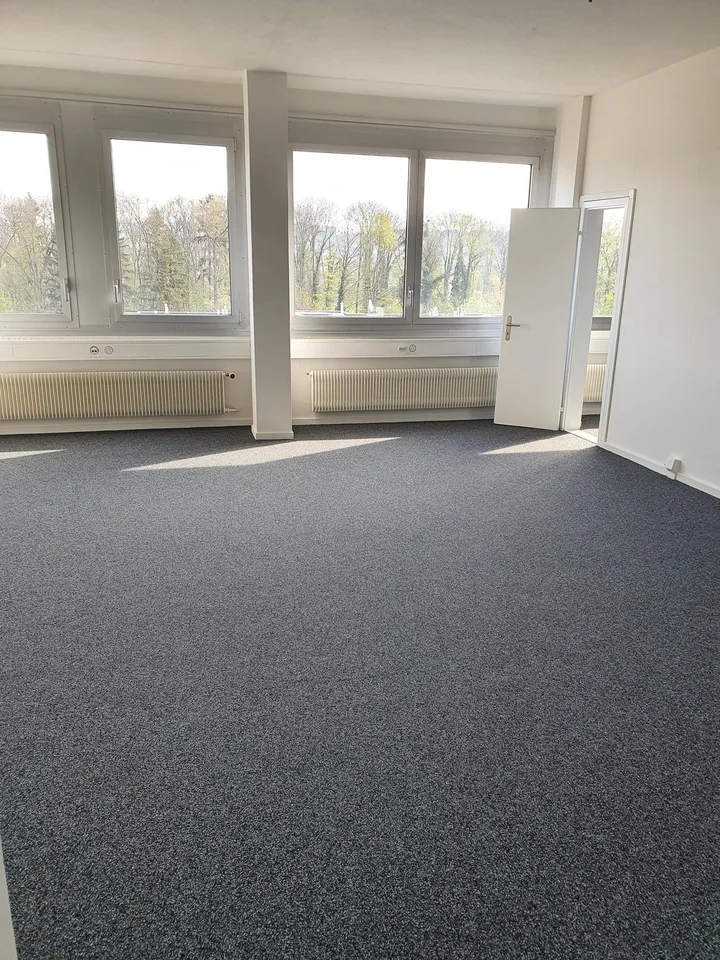 Spazio commerciale e di vendita in Althardstrasse 160 a Regensdorf