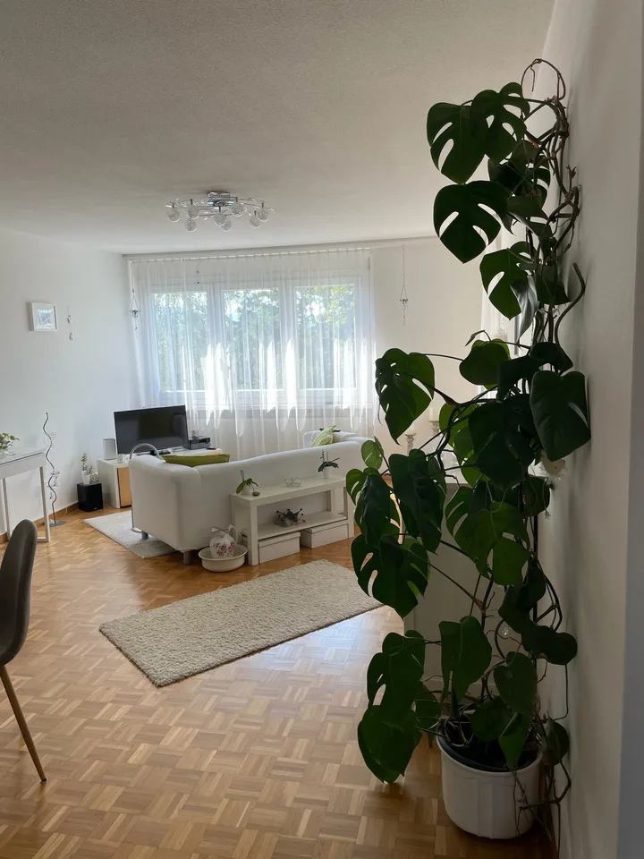 Grand appartement moderne de 2,5 pièces