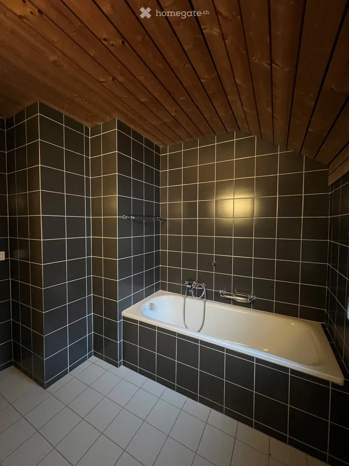 Charming 4.5-room attic apartment in Wangs