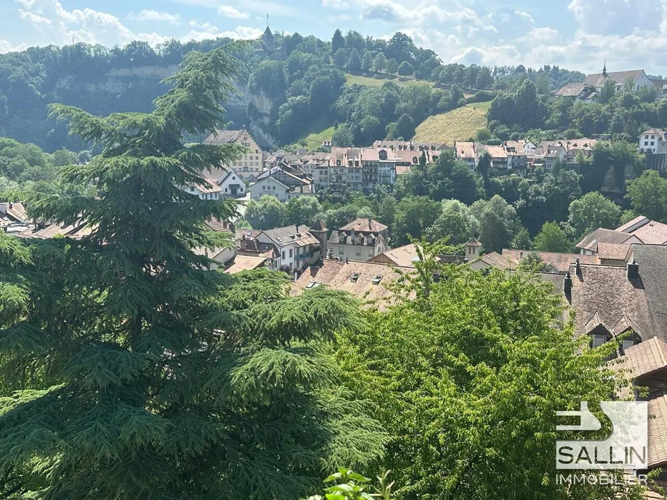 Appartamento ristrutturato di 3½ locali all'ingresso della bassa città