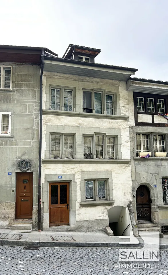 APPARTEMENT DUPLEX RENOVE DE 3½ PIECES A L'ENTREE DE LA BASSE VILLE