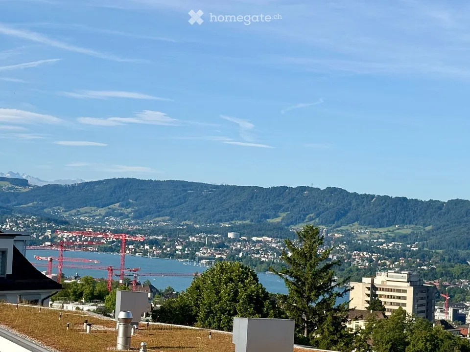 Ampio appartamento di 6,5 locali con terrazza su Restelbergstrasse a Zurigo
