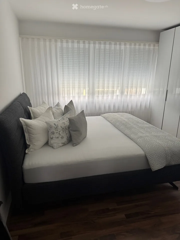 Moderne 4.5-Zimmer-Wohnung mit Balkon in Reinach BL