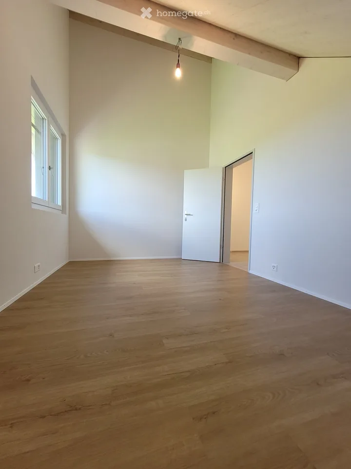 4 Bedroom Attic Apartment