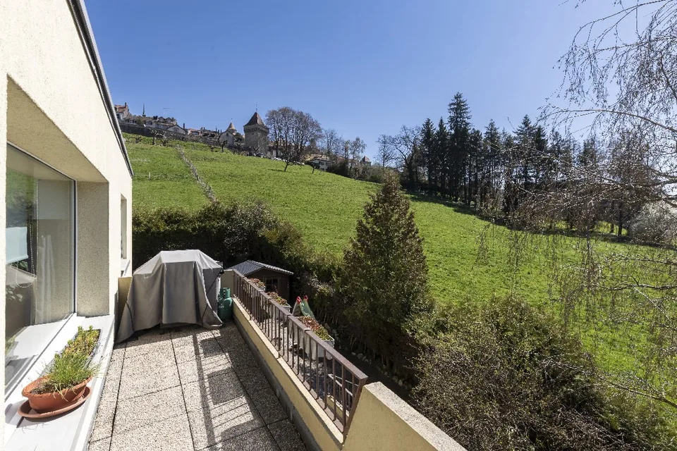 Bel appartement lumineux de 5,5 pièces au 1er étage avec jardin privé au rez.