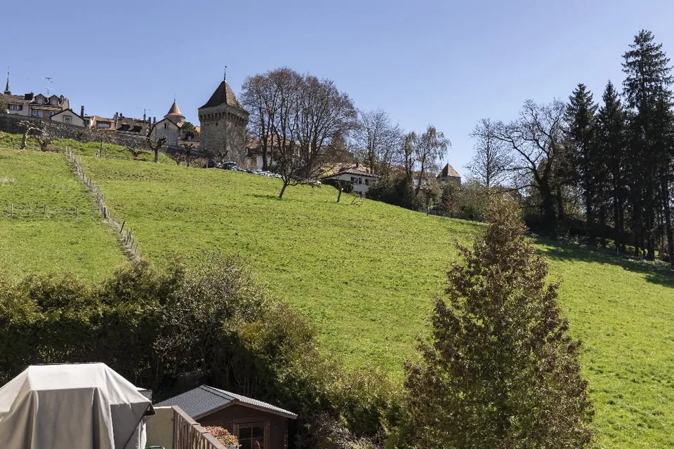 Bel appartement lumineux de 5,5 pièces au 1er étage avec jardin privé au rez.
