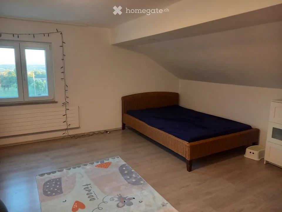 Ampio appartamento in posizione idillica in affitto