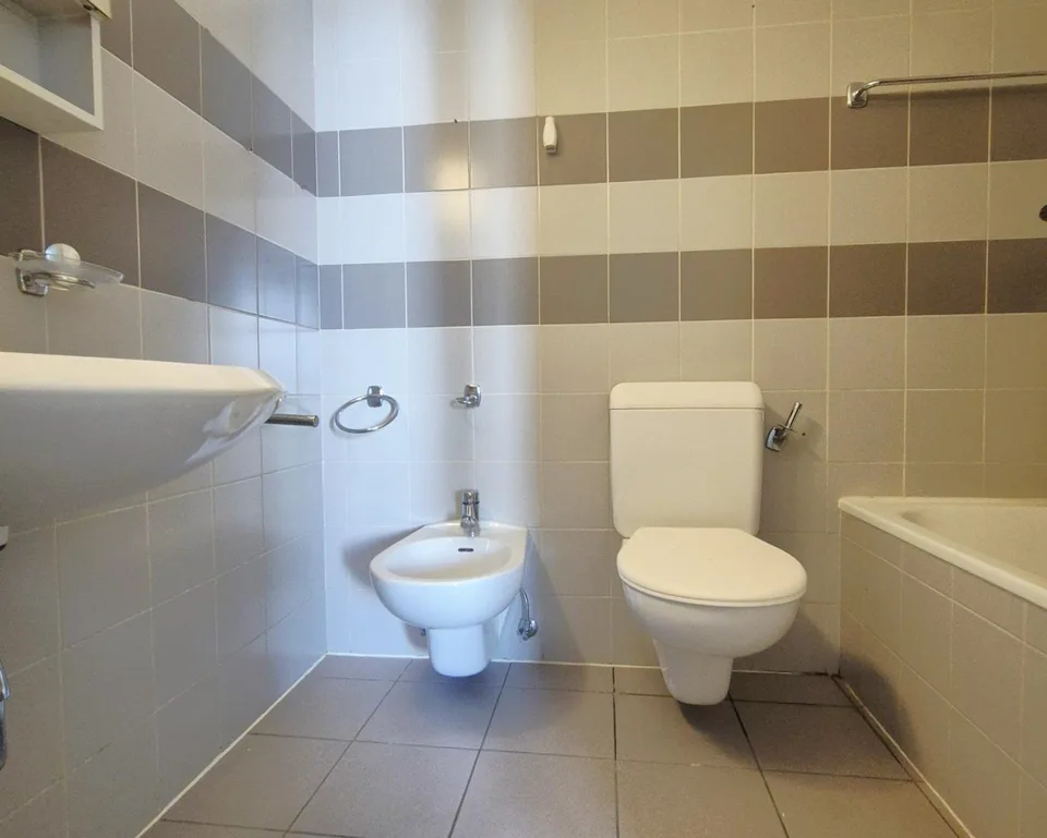 Wohnungen 3.0 Zimmer Eingerichtet